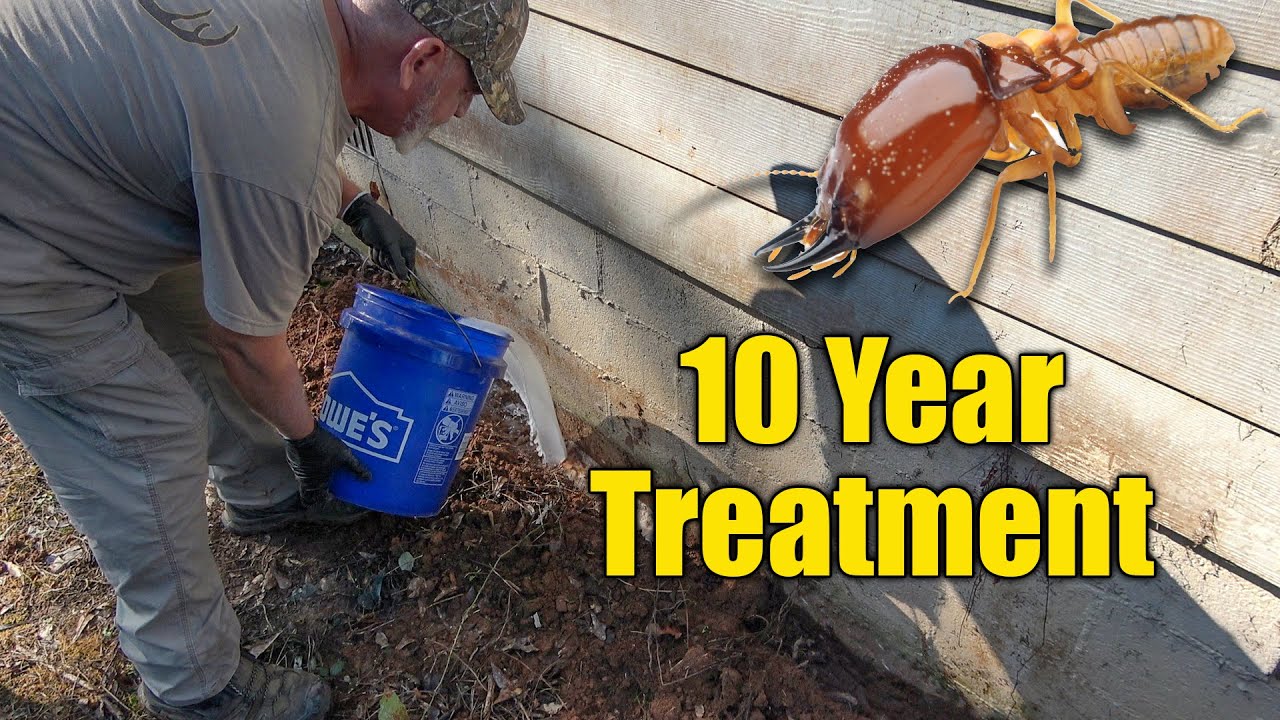 how much is termite treatment