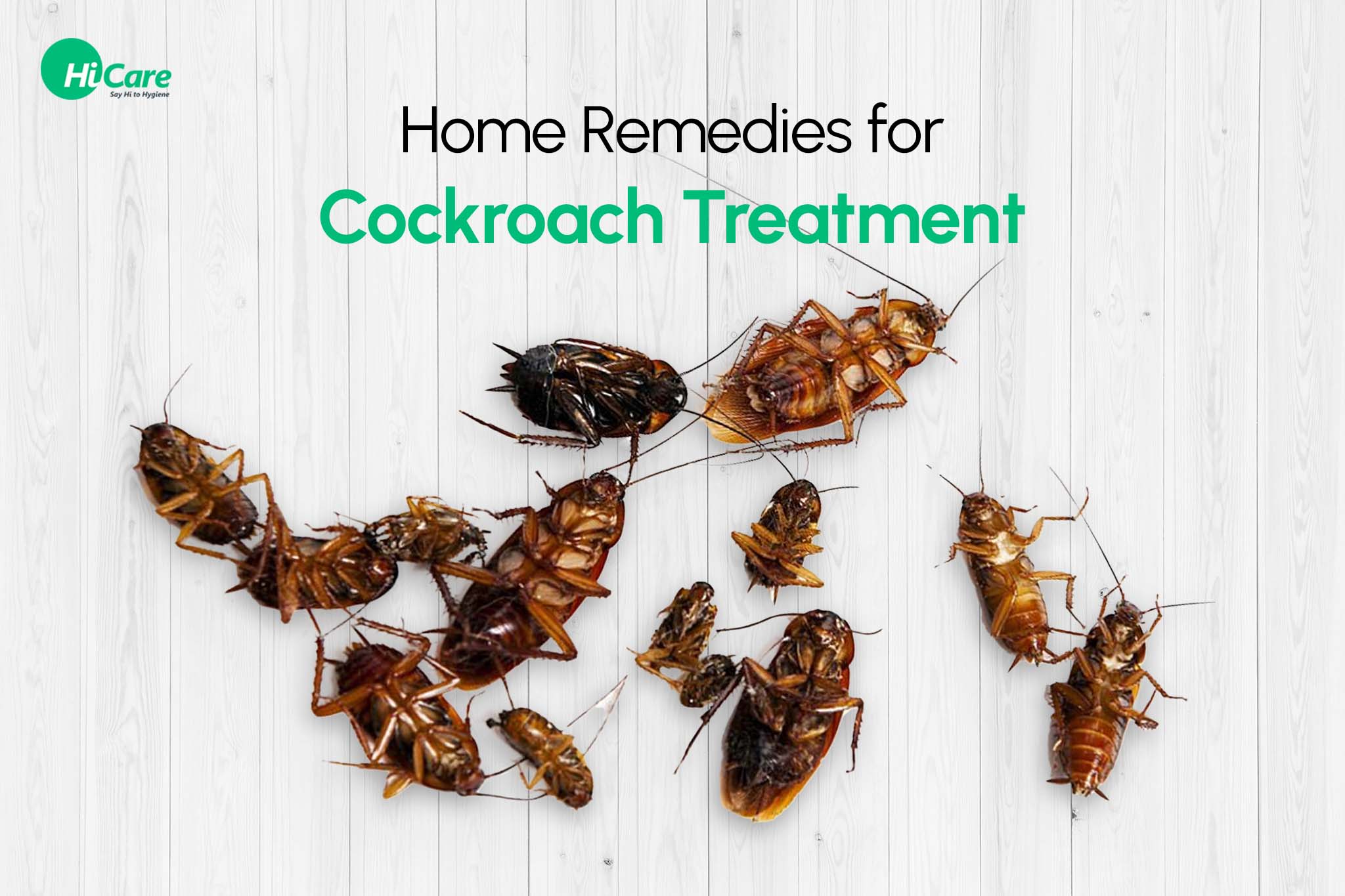 effective home remedies for cockroach