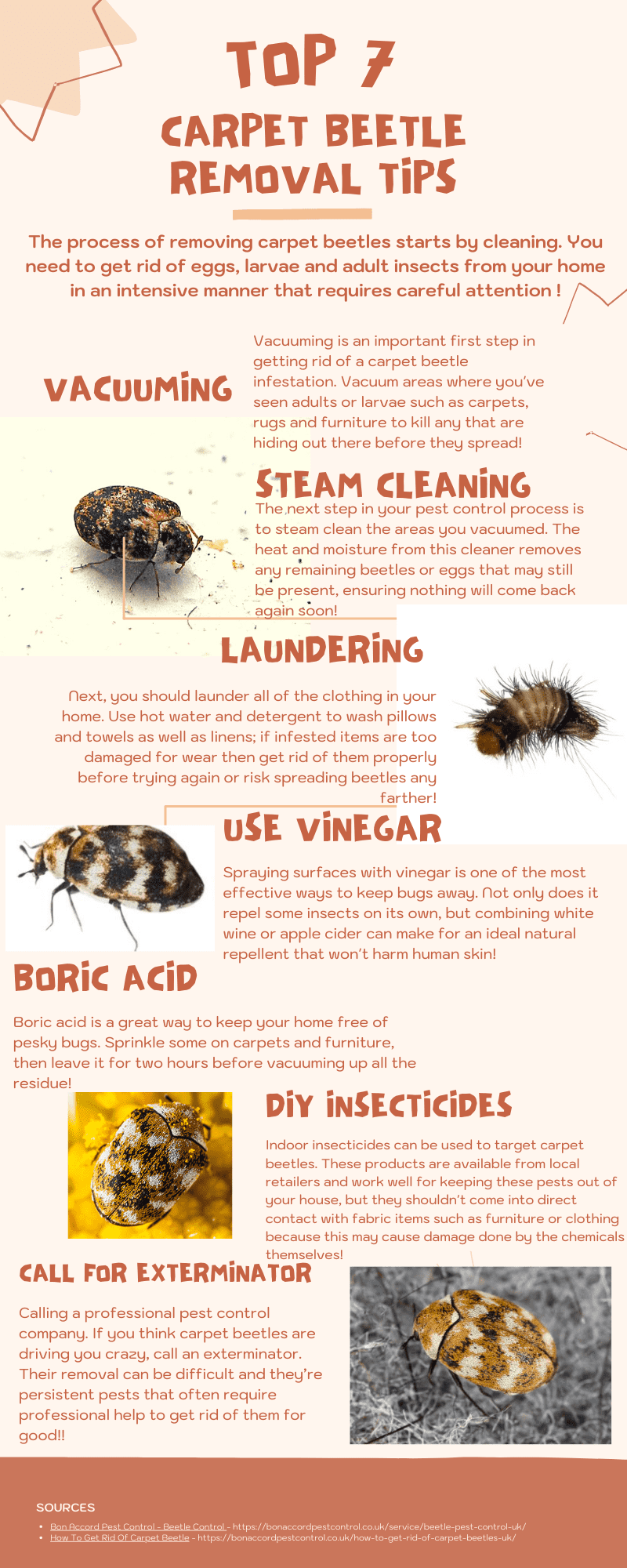 effective methods for eliminating carpet beetles a comprehensive guide