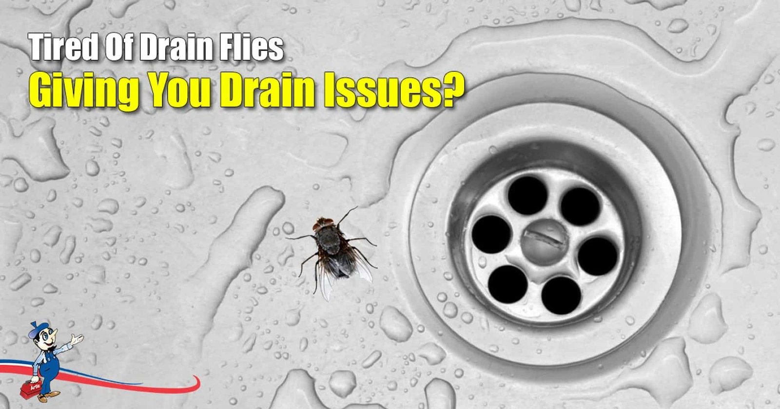 eliminate fruit flies in drain proven methods to get rid of pesky pests
