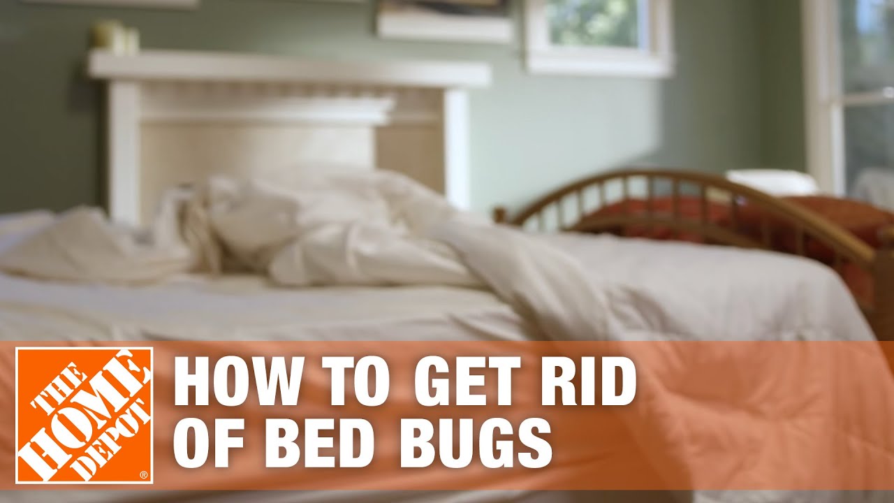 how do you get rid of bedbugs