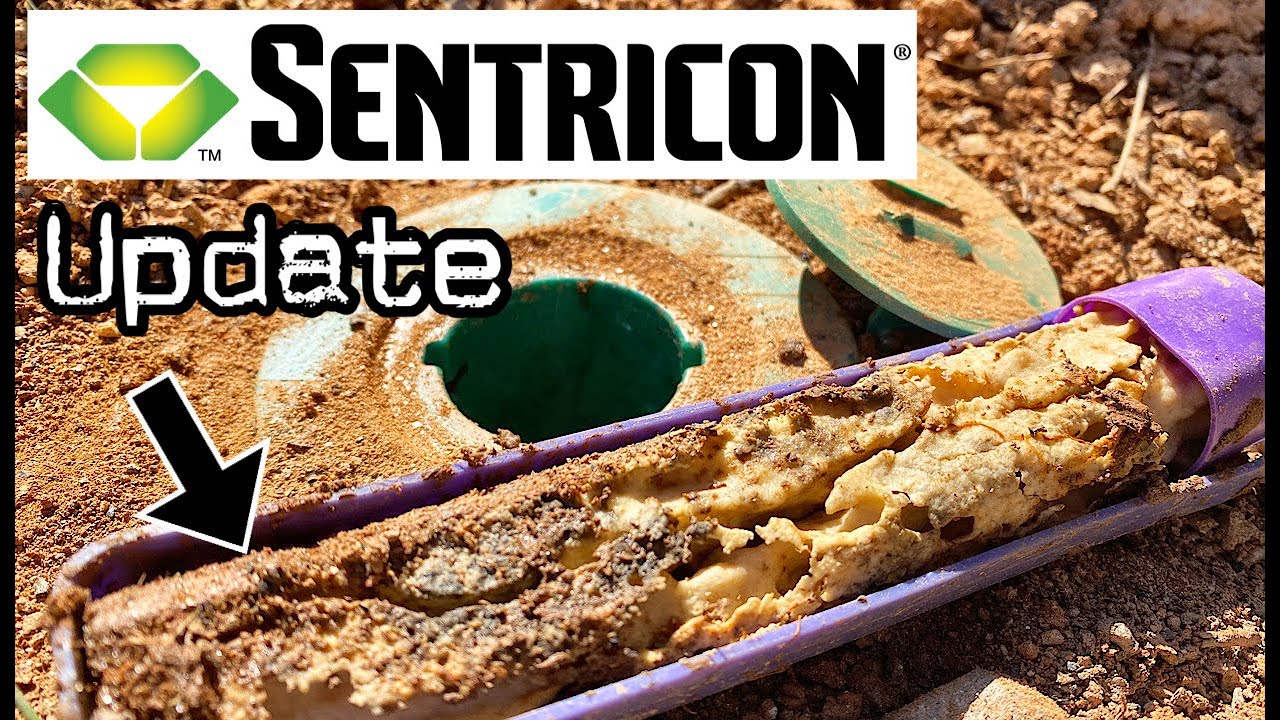 how long do termite bait stations last
