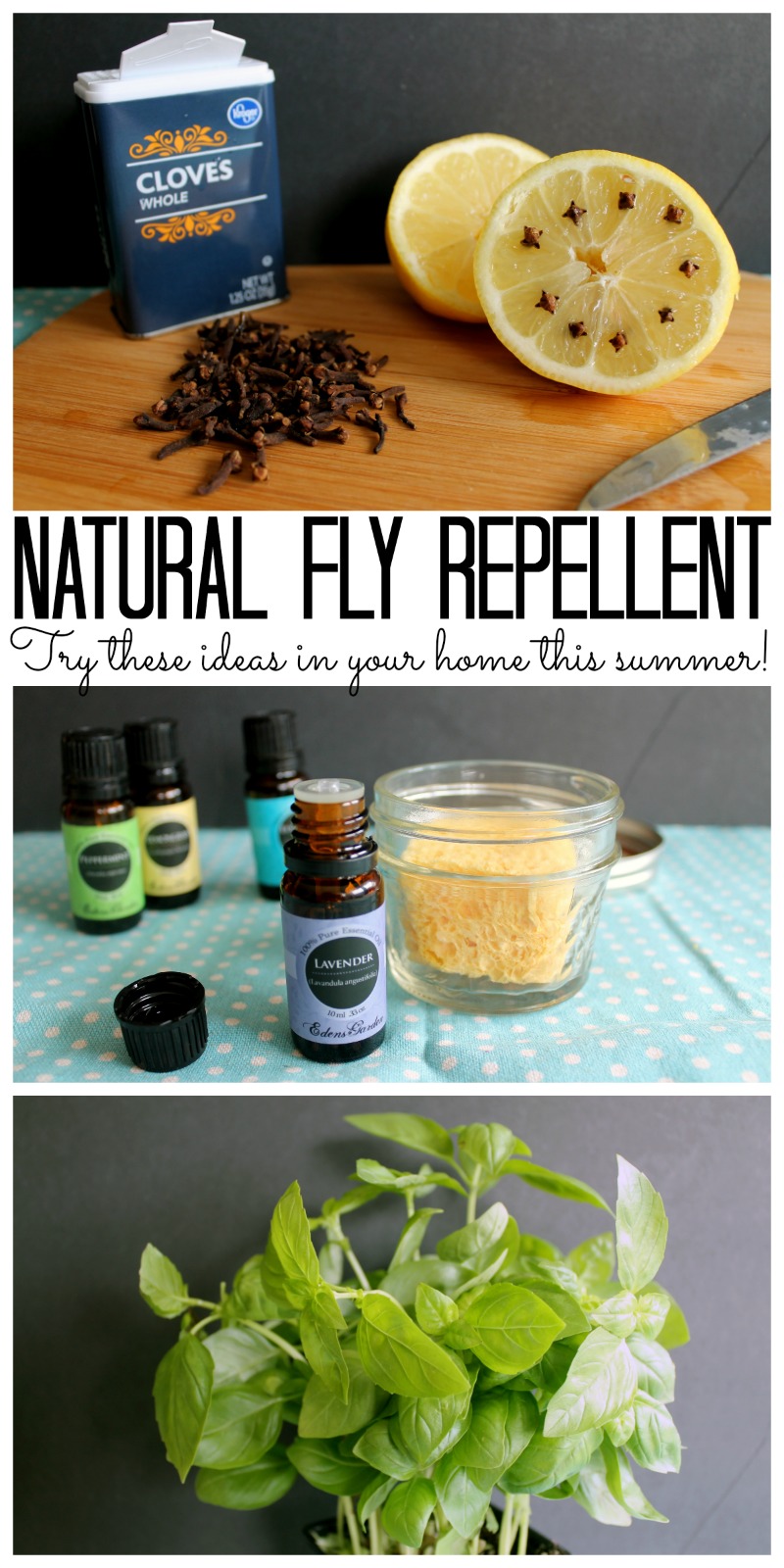 natural methods to repel flies effective diy tips