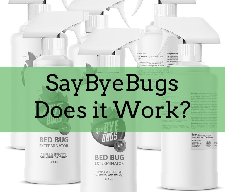 say goodbye to bedbugs using dryer sheets 5 effective tips