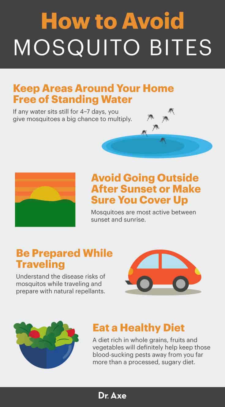 stay bite free expert tips on how to avoid mosquito bites