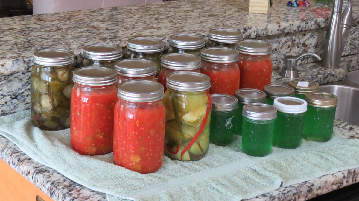 summer food preservation tips keeping your food fresh and tasty