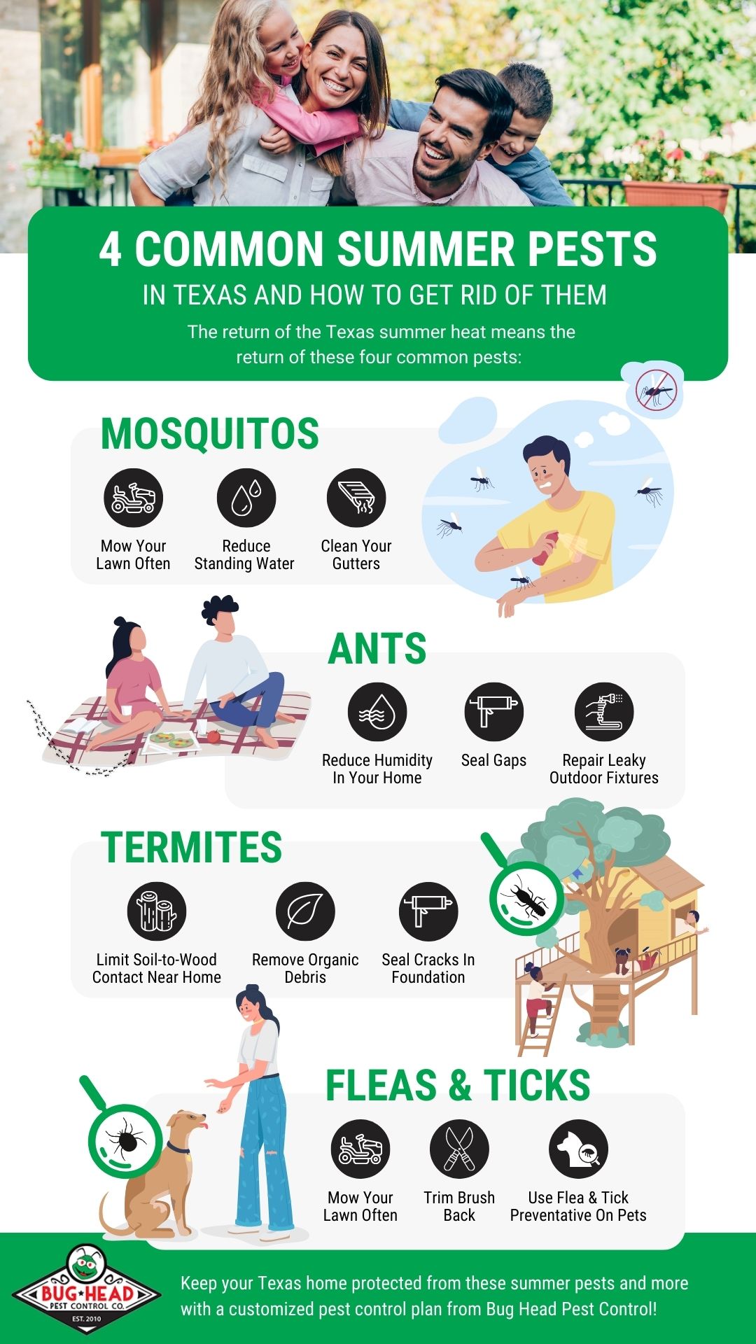the most common summer pests and how to combat them