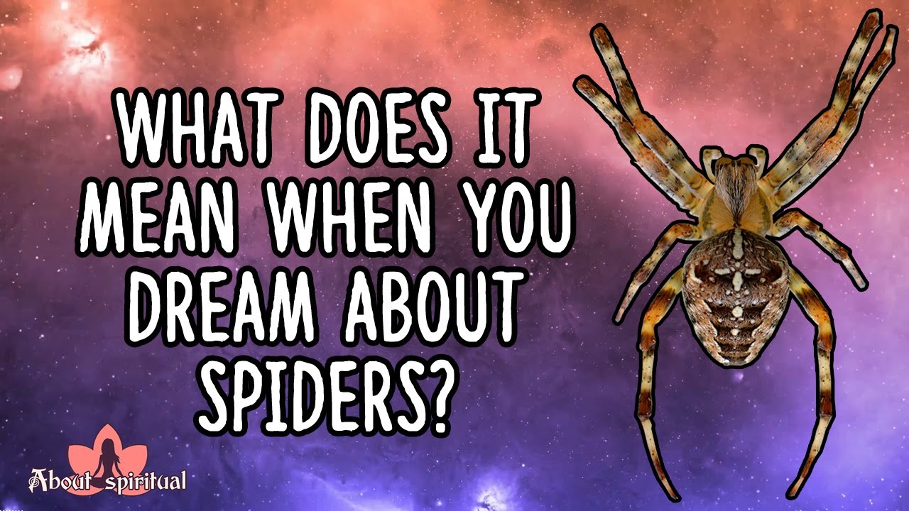 what does it mean when you dream about spiders