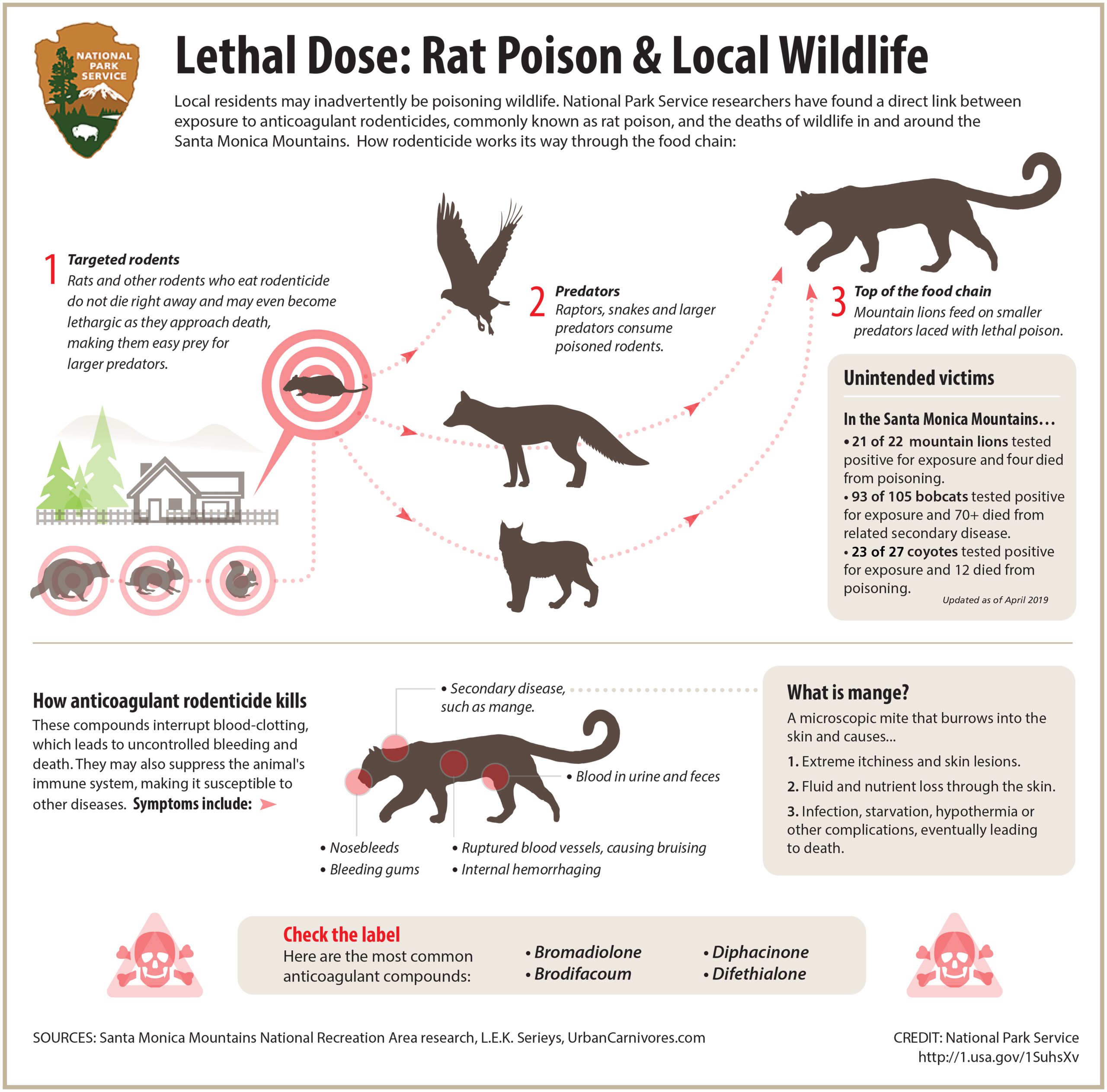 what is a rodenticide and how does it work everything you need to know scaled
